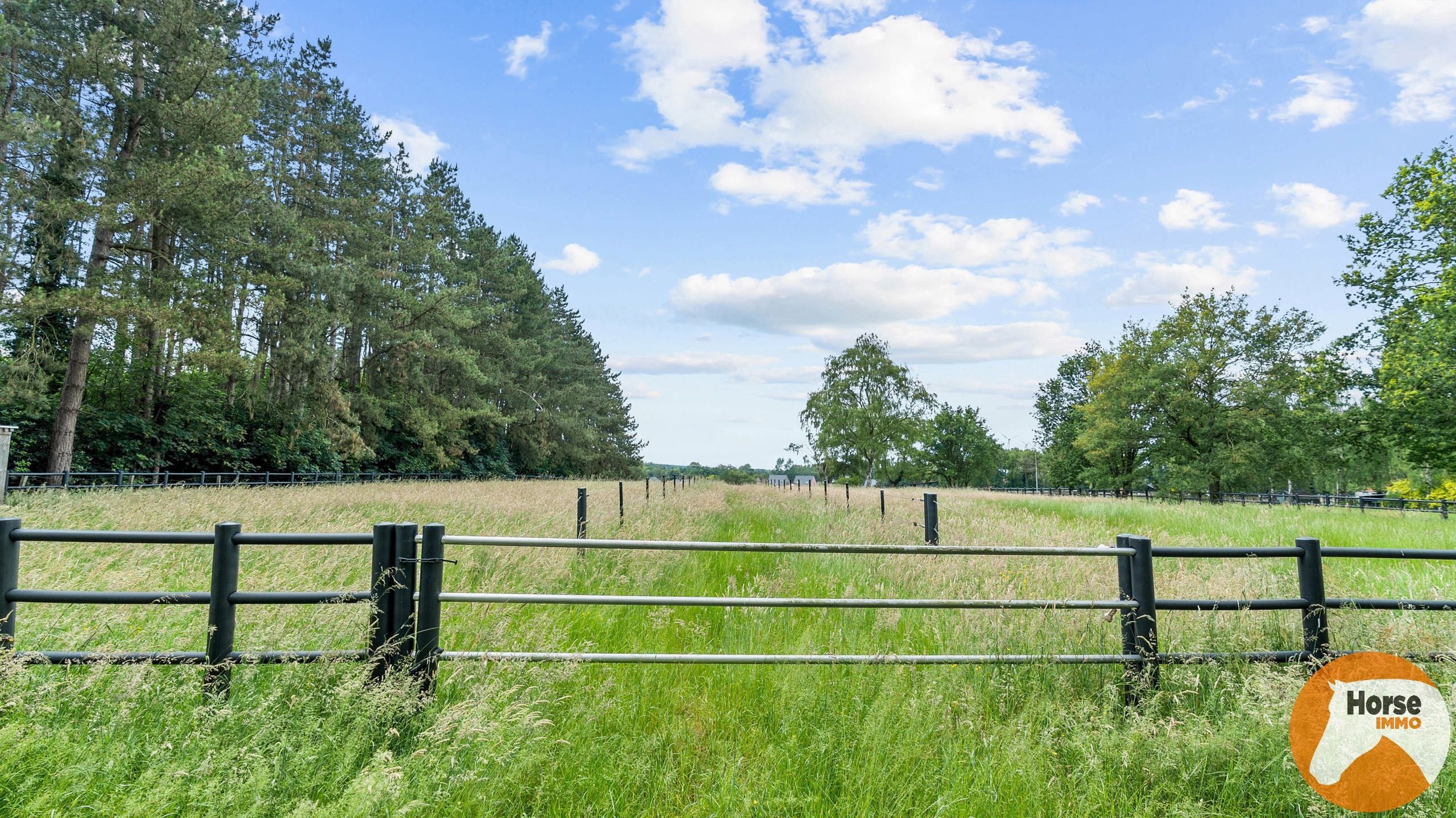 NEEROETEREN - Woning met paardenstallen op +/- 1ha70 foto 25