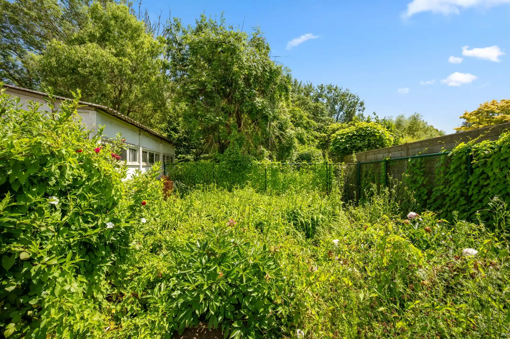 Half open bebouwing met tuin, garage en 3 slaapkamers in Boutersem  foto 22