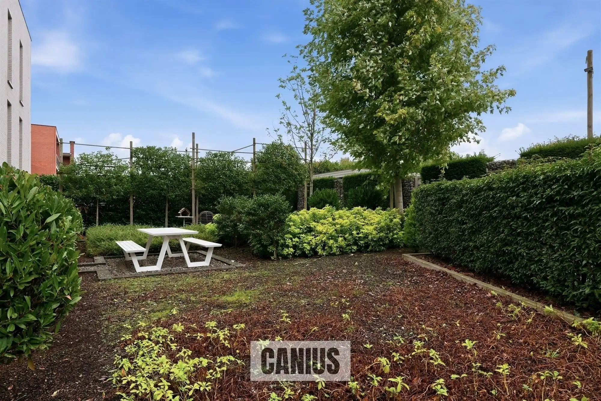 ENERGIEZUINIG APPARTEMENT TE KOOP IN GENK foto 21