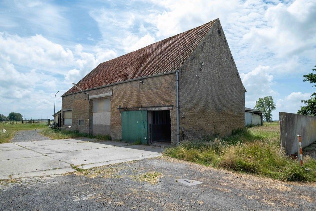 HOEVE op 6,9 HA met NIEUWE VERGUNNING voor PAARDENFOKKERIJ foto 10