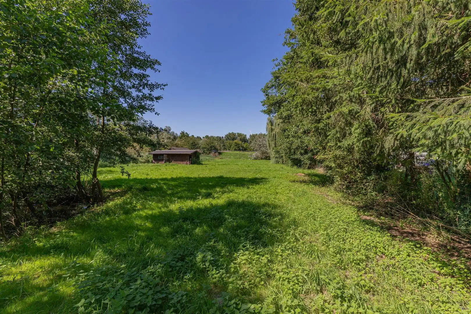 Exclusieve bouwgrond te koop Sint-Onolfsdijk, Dendermonde foto 14