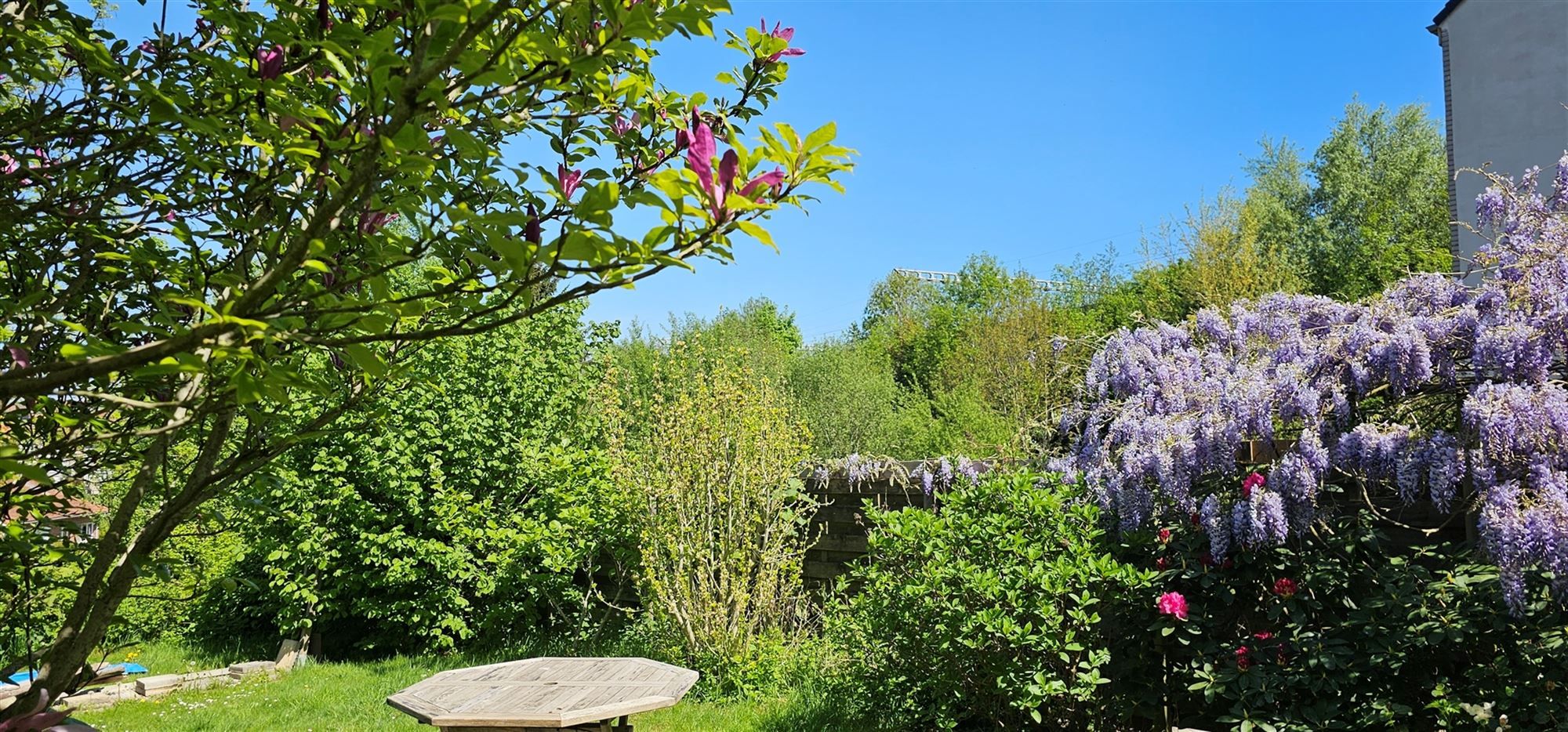 Aangename bel-etage woning met tuin foto 22