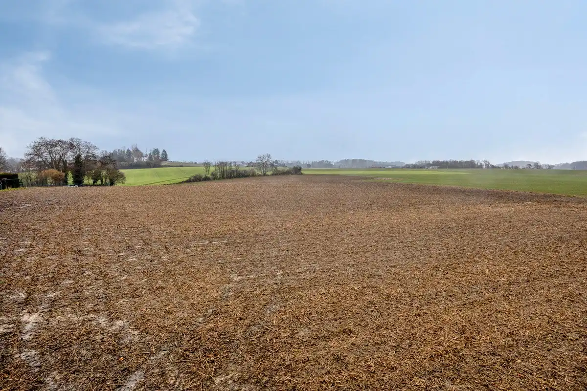 Landbouwgrond vrij van pacht in Bierbeek op een perceel van 1ha  foto 10