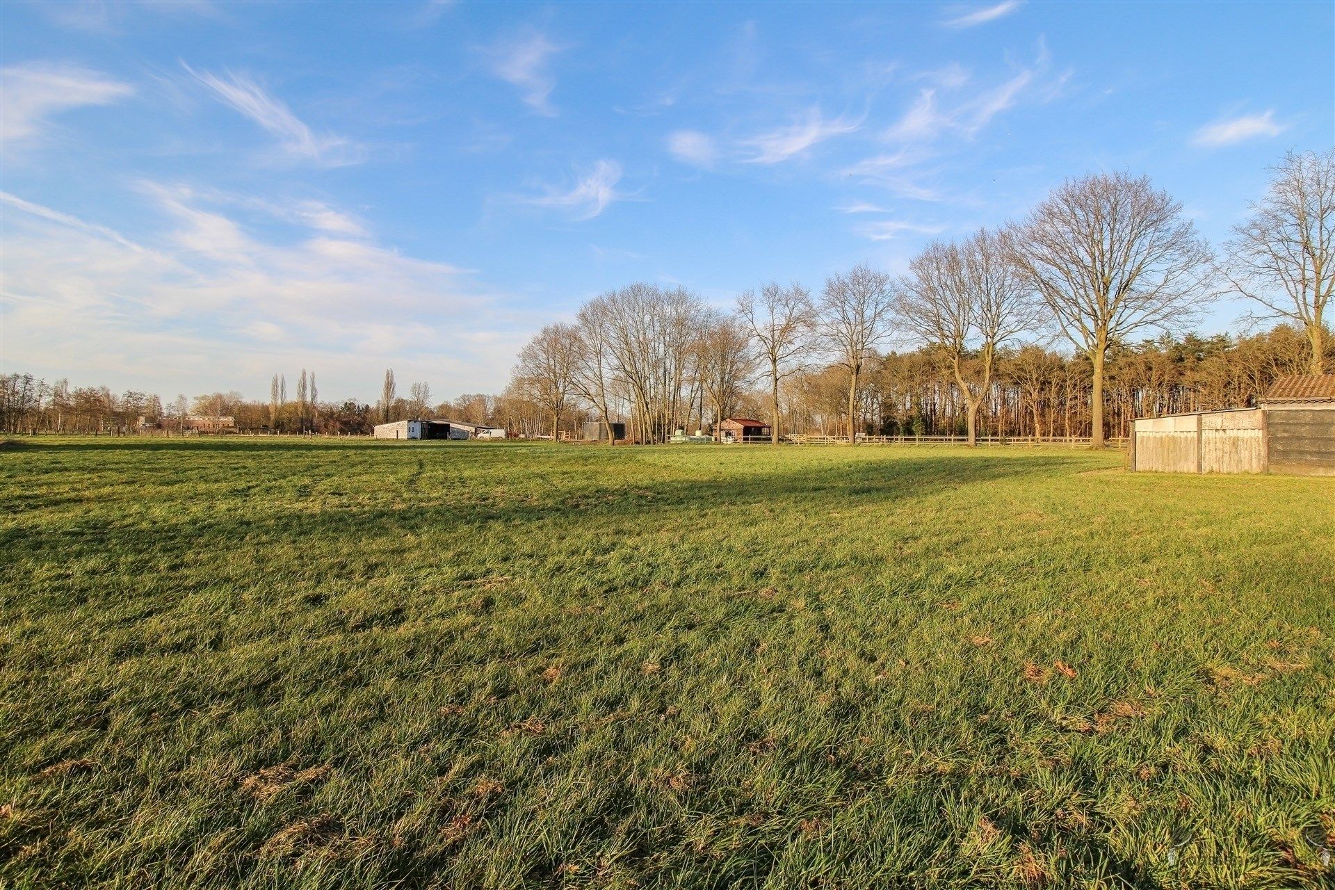Open bebouwing op perceel van 8099 m² foto 21