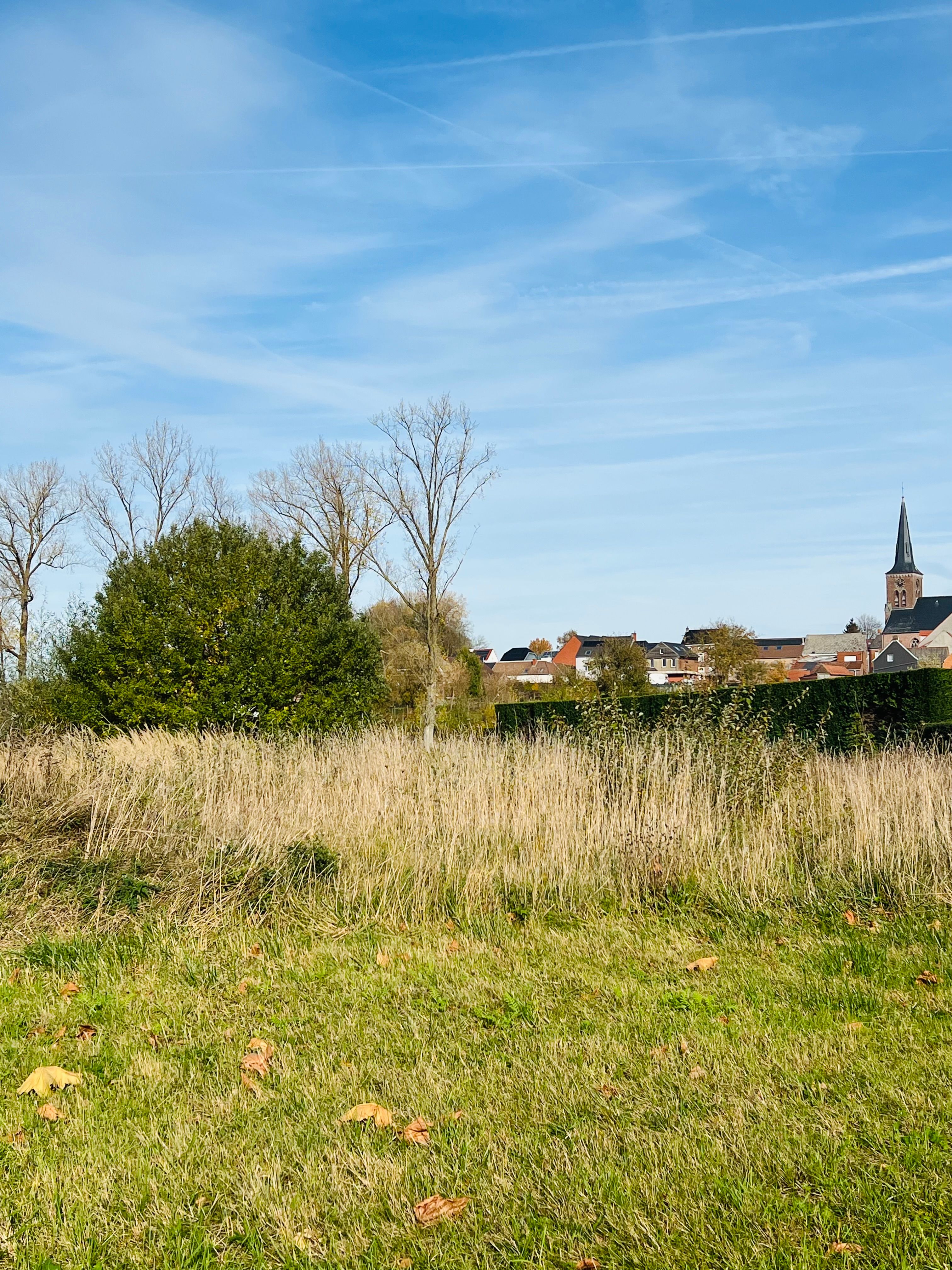 Mooie bouwgrond van 11a92ca voor open bebouwing, met een straatbreedte van 20,80 meter en landelijk uitzicht op de dorpskerk. Geen verkaveling, enkel algemene bouwvoorschriften van toepassing. foto {{pictureIndex}}