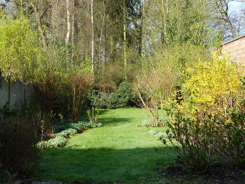 Gezellige woning met mooie tuin foto 13