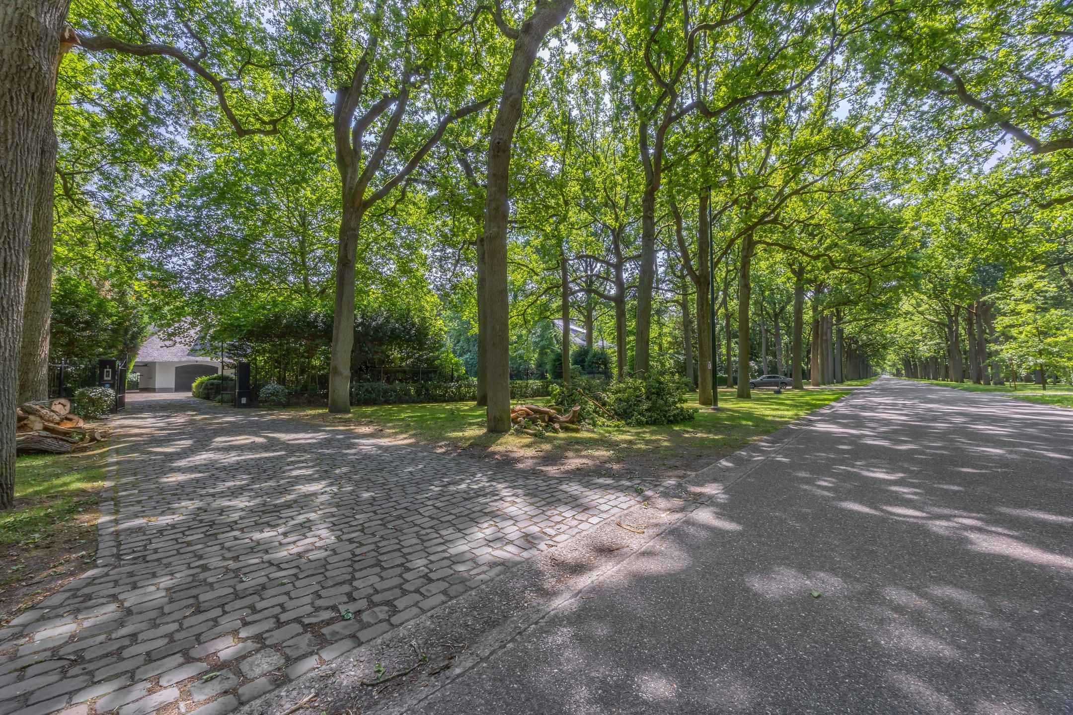 Instapklare villa op een riant perceel van 3.750 m² foto 2