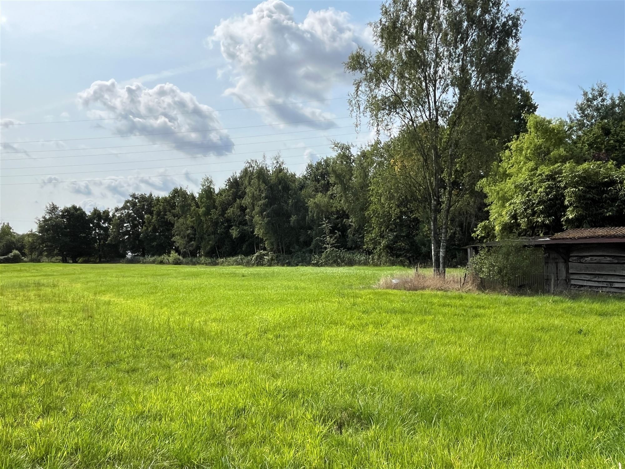 Boerderij met unieke ligging te Putte  foto 12