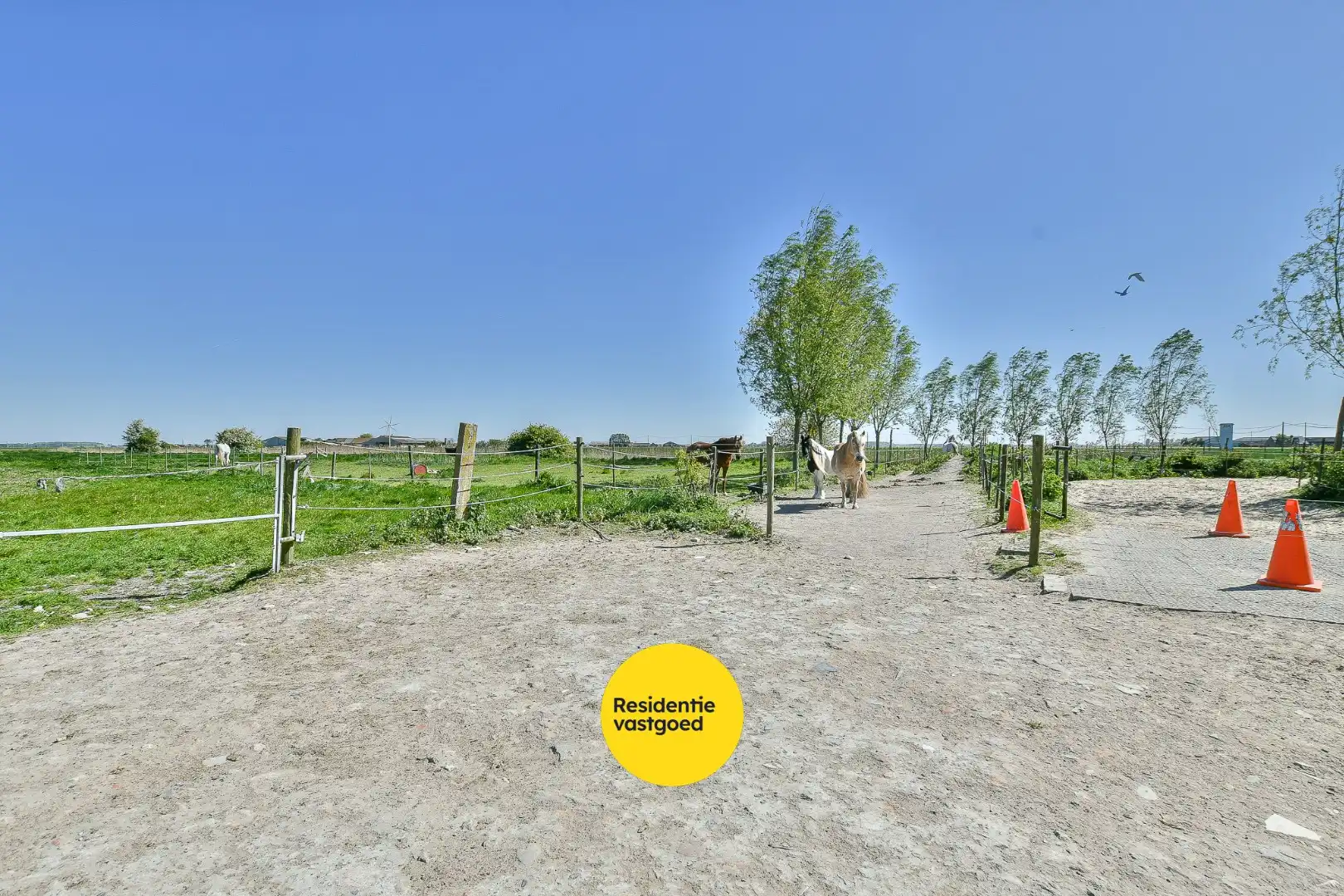 Authentieke hoeve met bouwland, stallen en bijgebouwen op unieke landelijke ligging tussen De Haan en Nieuwmunster foto 37