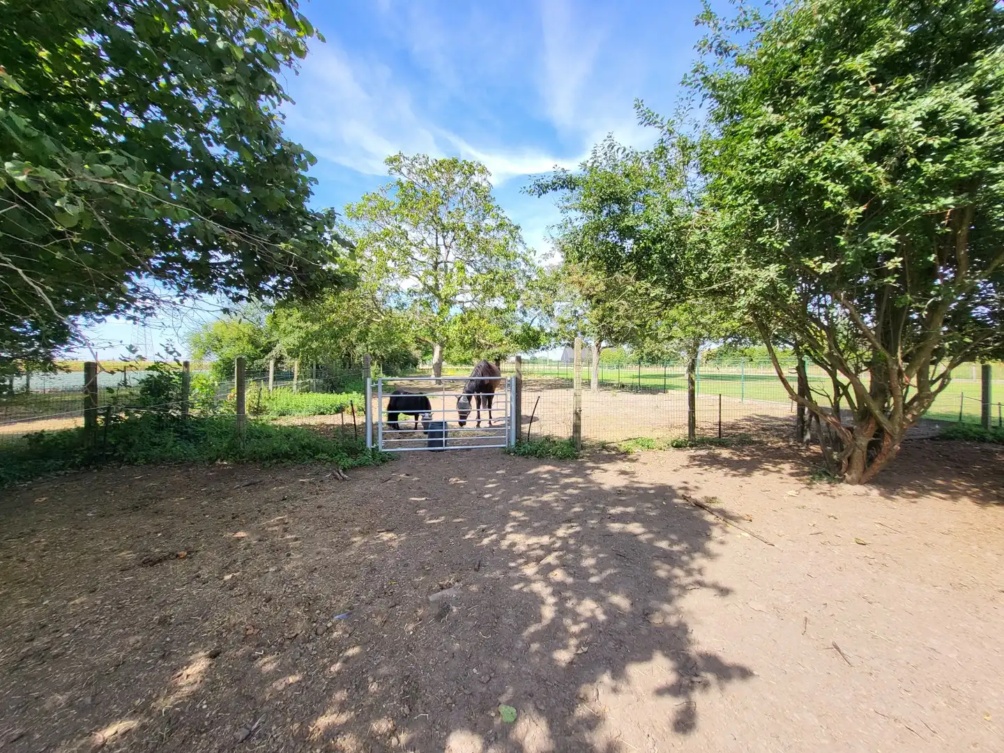 Karaktervolle eigendom met uitzonderlijk potentieel, paardenstal en 2 ruime garages op 2.550 m², met 248 m² bewoonbare oppervlakte. foto 4