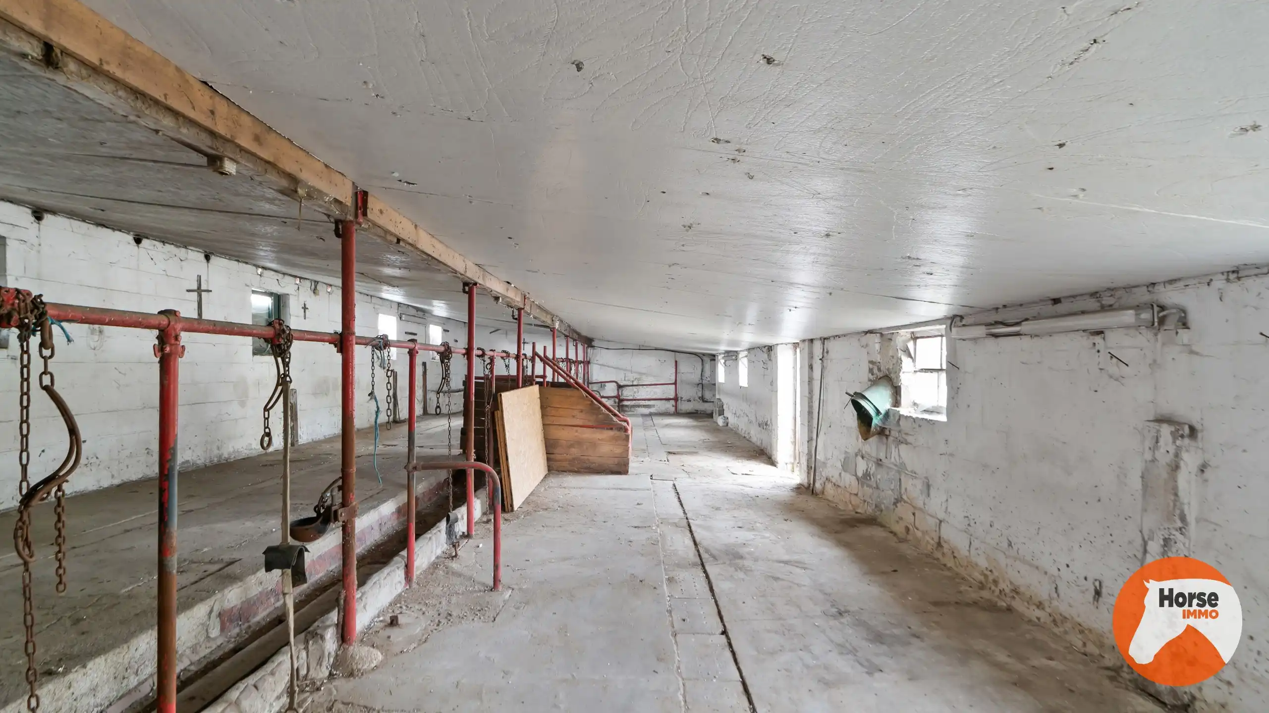 RIEMST - Te renoveren woning met stalling foto 22