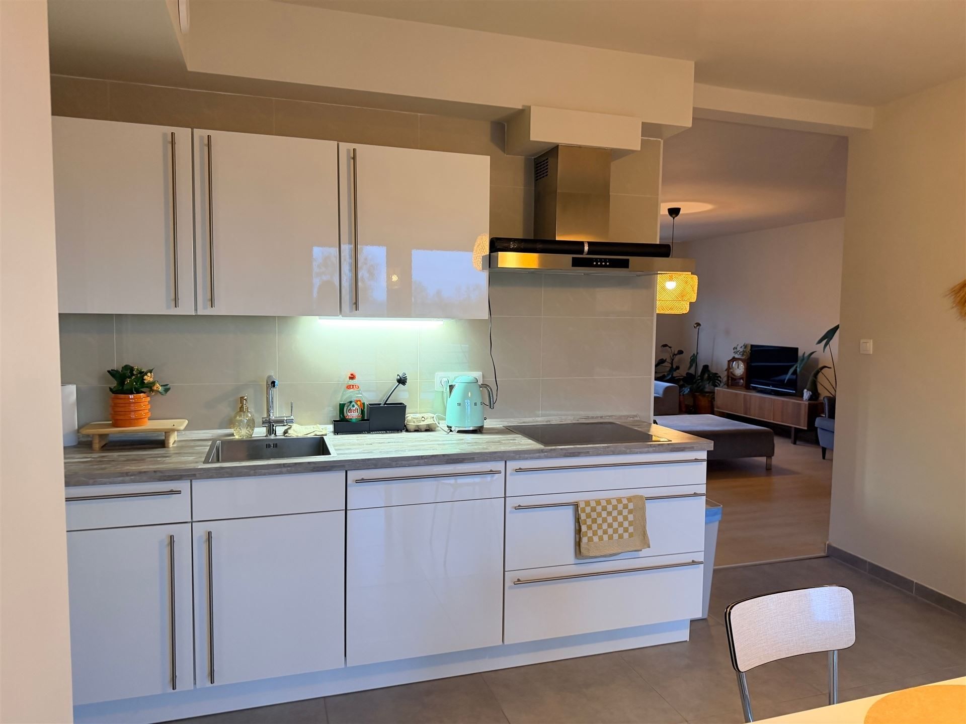 Appartement met 2 slaapkamer en terras foto 8