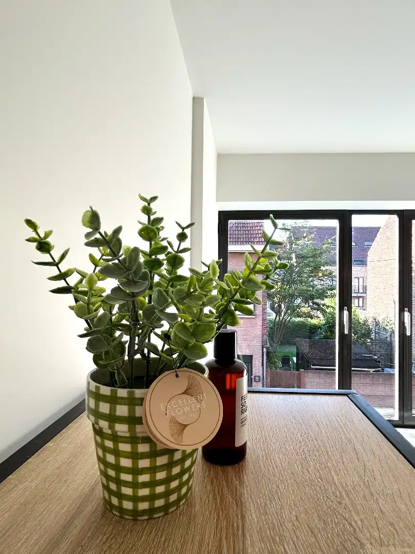 Prachtig gerenoveerd appartement met 2 slaapkamers foto 13