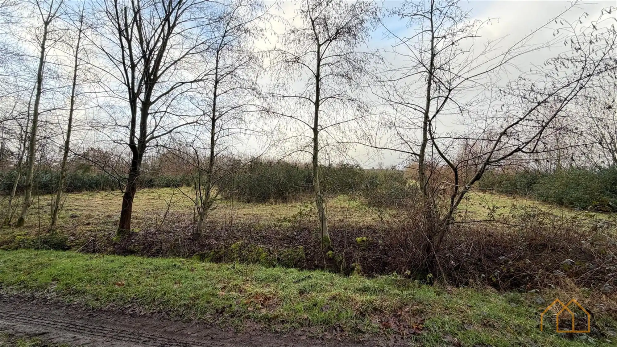 Landbouwgrond van 8600m² in Ten Aard foto 4