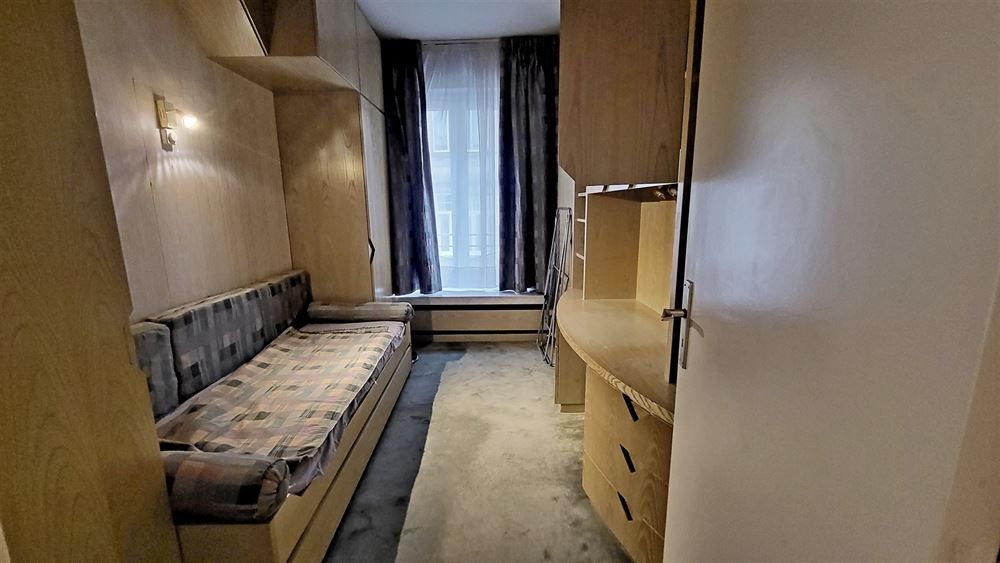 Ruim appartement met zicht op Stadspark foto 20