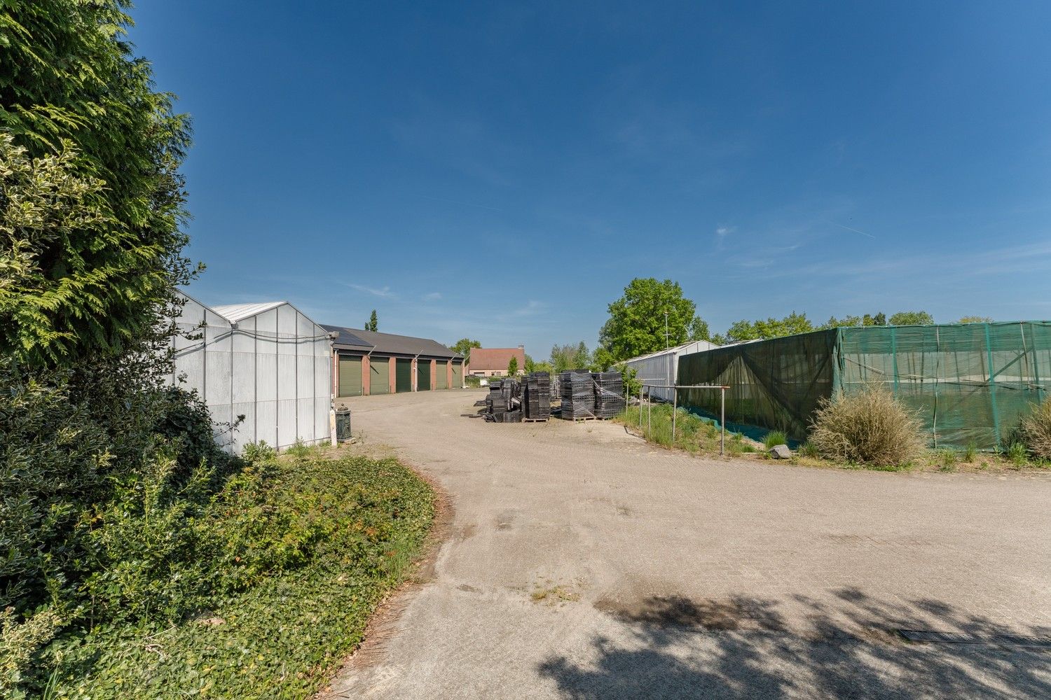 Uitgebreid Tuindersbedrijf met Woonhuis, Serres, Schermhallen en grote Bedrijfsloods op 2ha56a77! foto 10