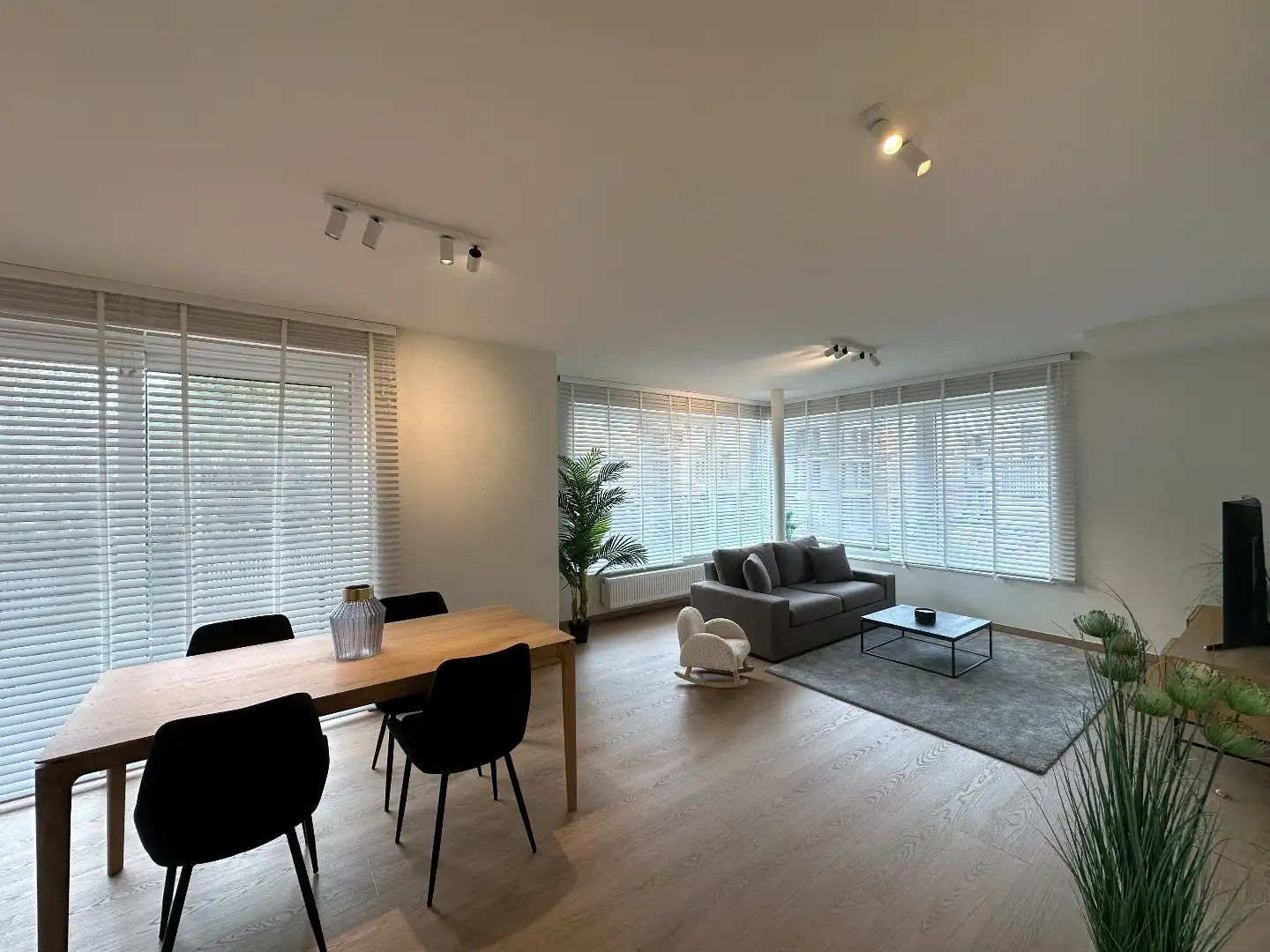 Gerenoveerd appartement foto 3