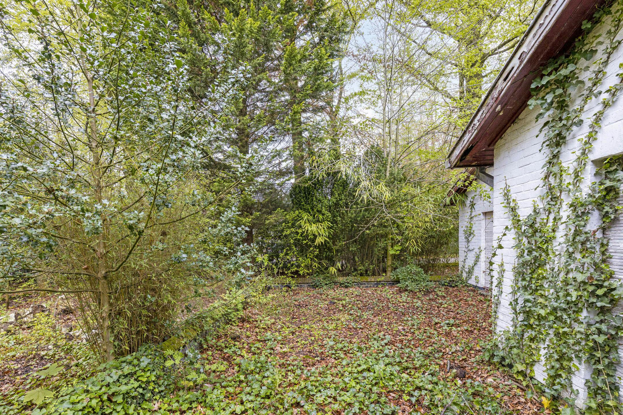Vrijstaand huis langs De Linde / Puienbroeklaan te Sint-Kruis (Brugge) foto 8