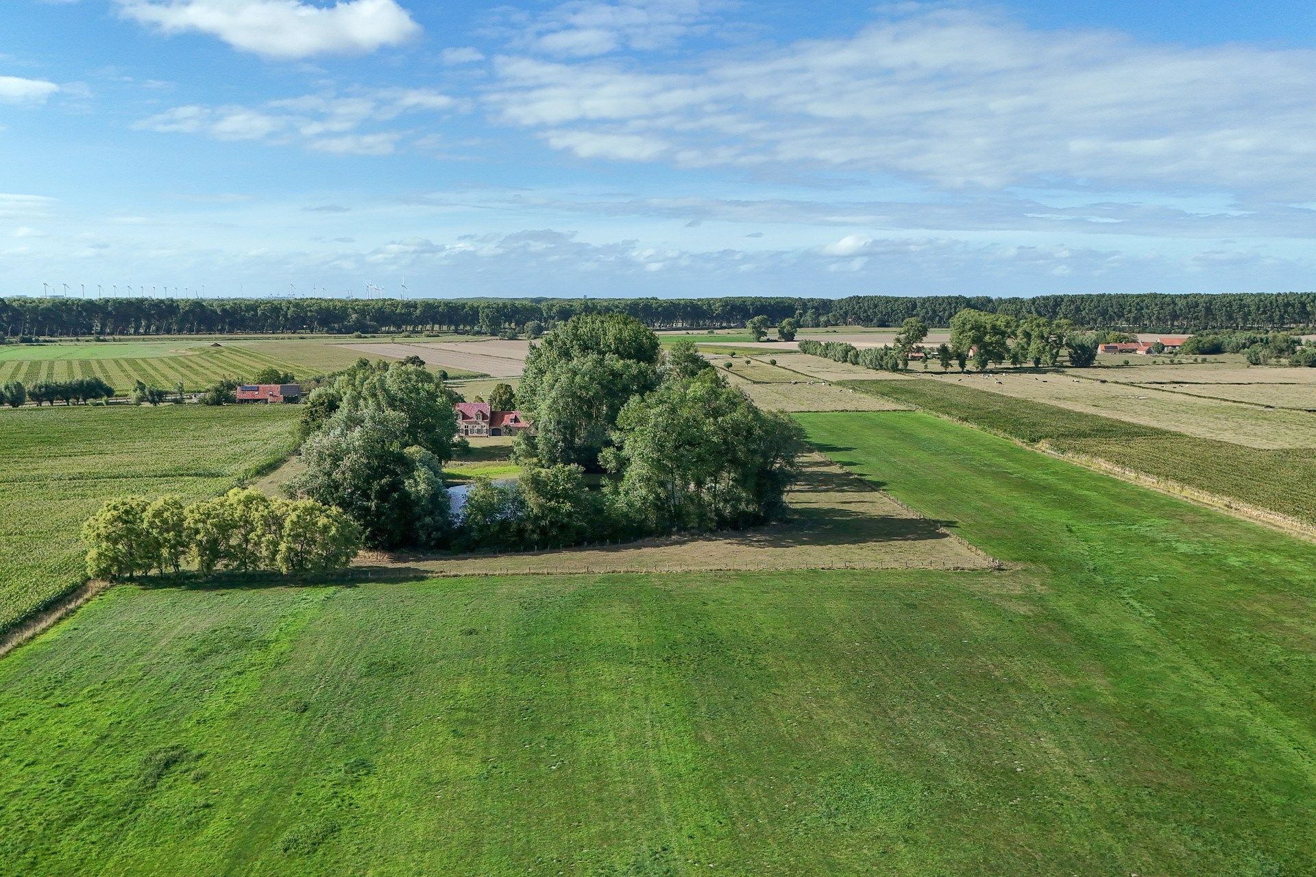 Hoeve schitterend gelegen te Damme foto 21