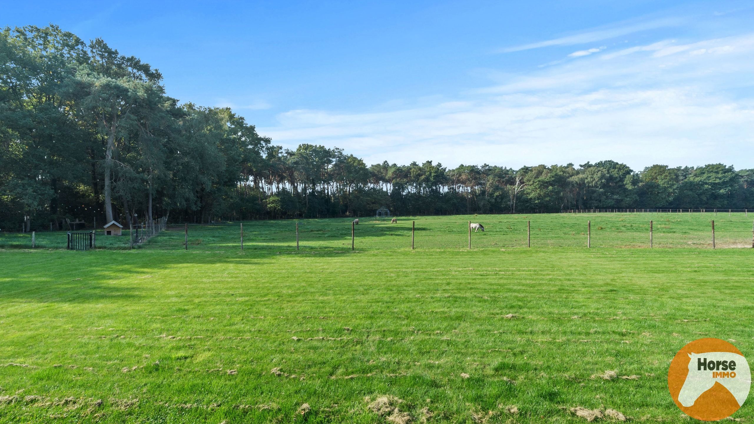 OUDSBERGEN - Prachtig gelegen woning met loodsen op 2ha5 foto 15
