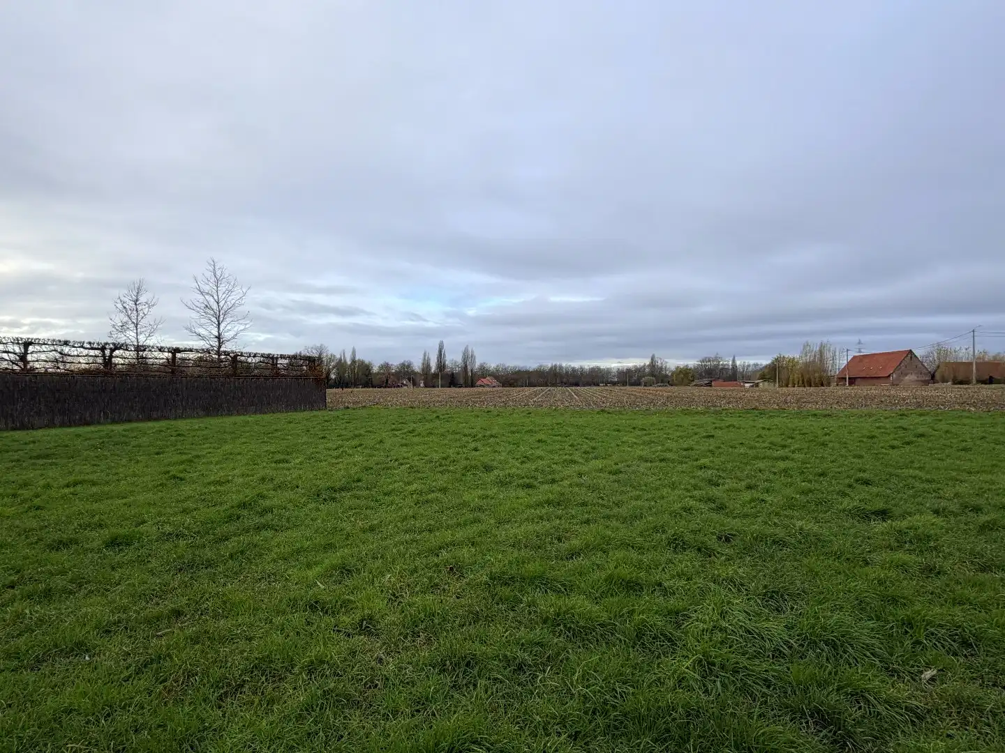 Grond te koop 8560 Gullegem