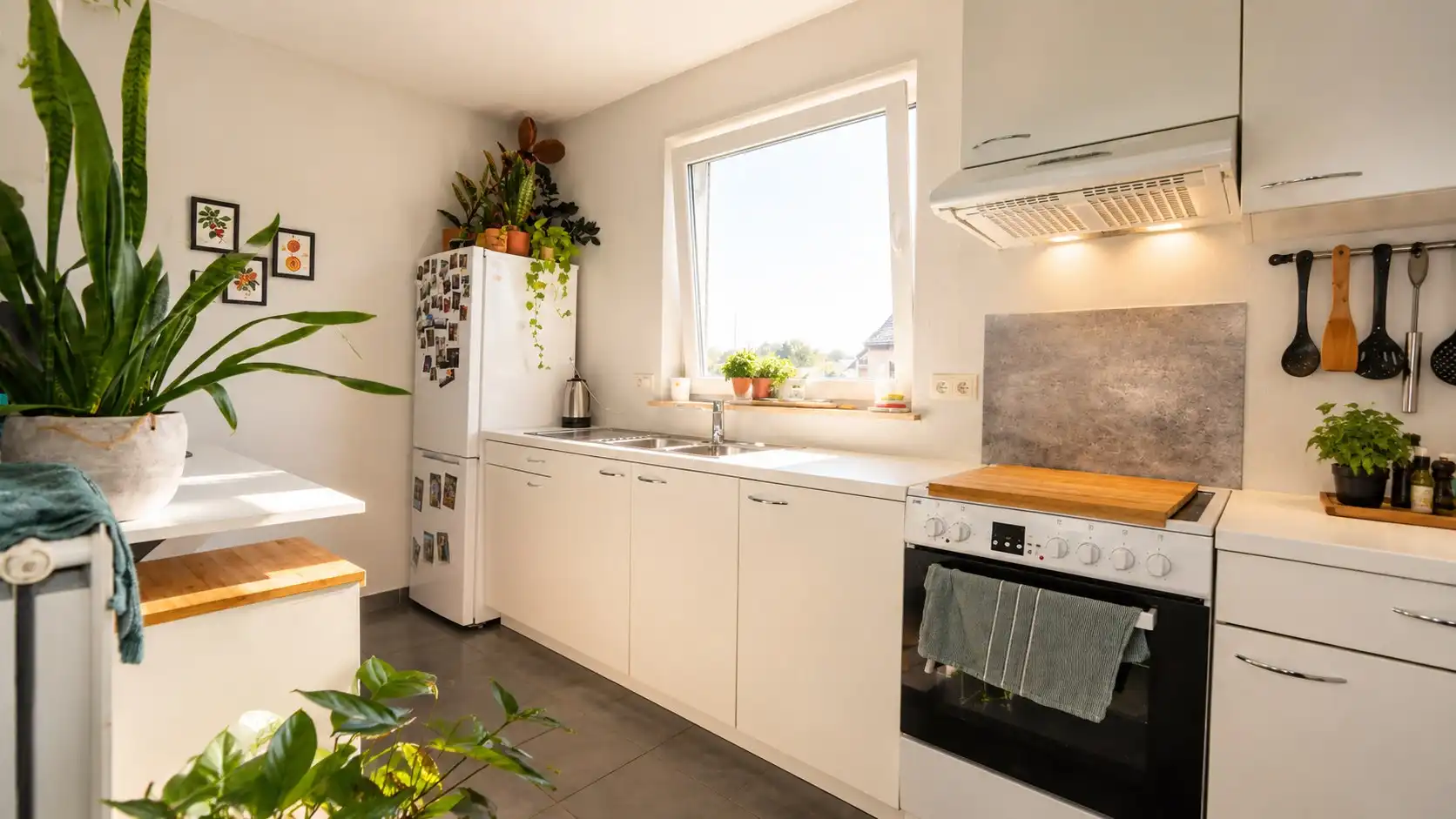 Comfortabel appartement met garage in Lokeren  foto 3