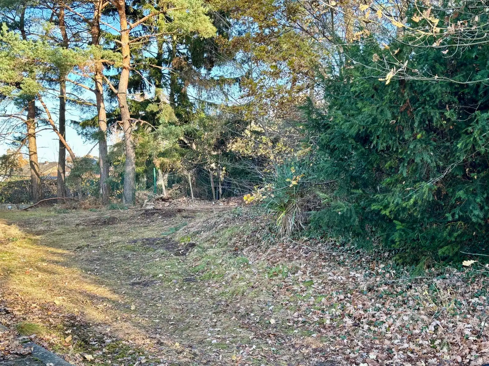 Te renoveren woning op 4769 m², grenzend aan natuurgebied De Keiheuvel foto 13