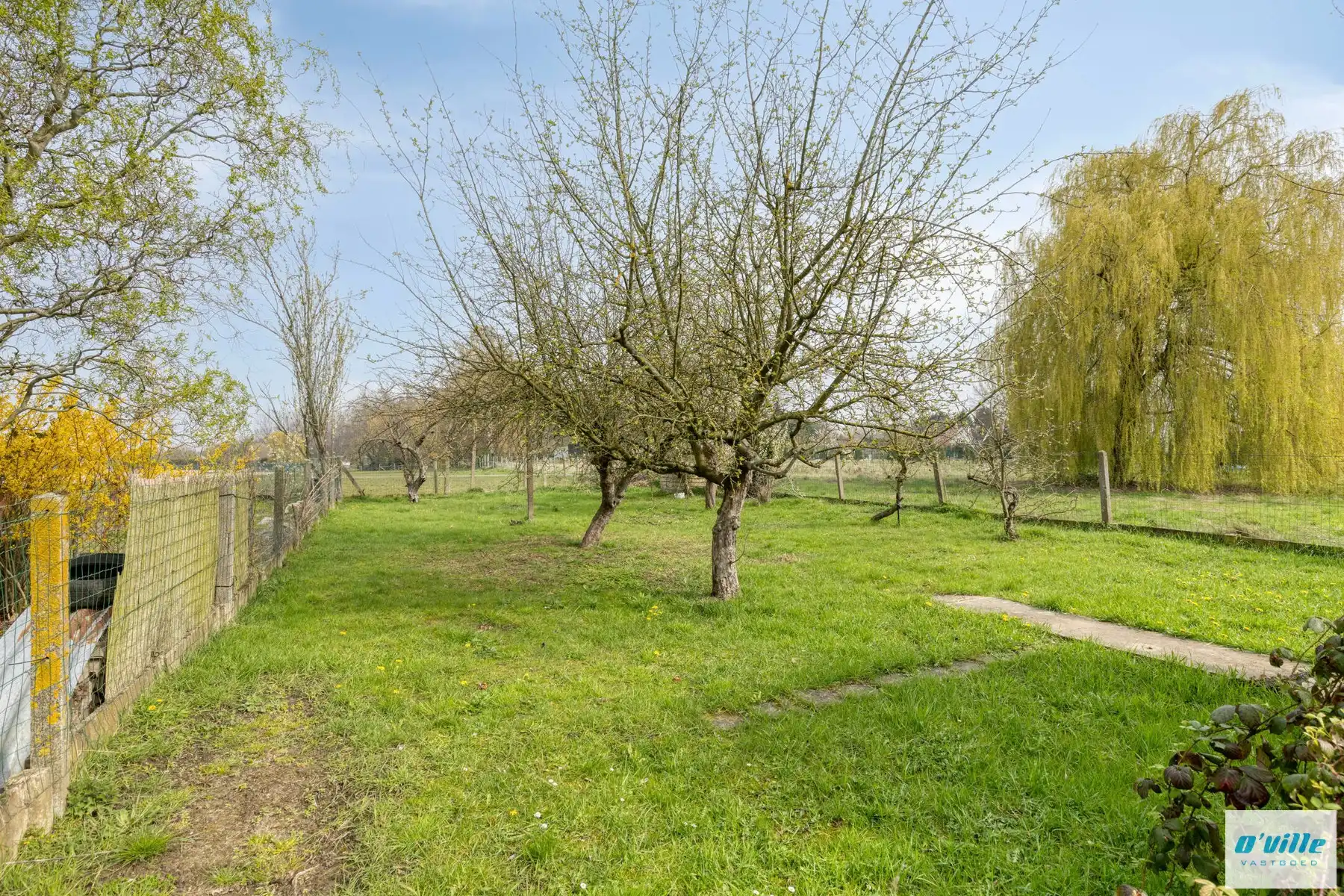 Charmante karakterwoning met grote tuin foto 2