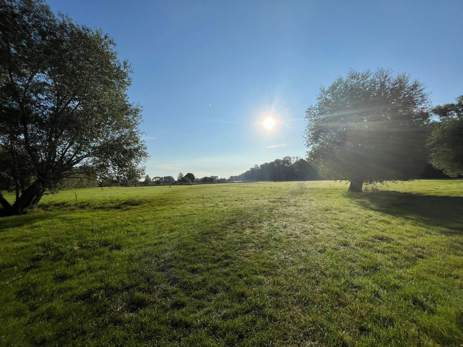 Charmante woning met uitzicht over polderlandschap foto 26