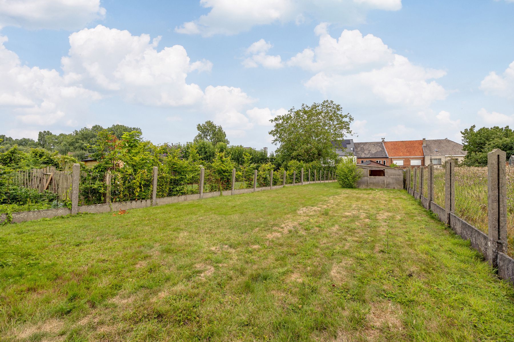Op te frissen woning met grote tuin, landelijke ligging.  foto 2