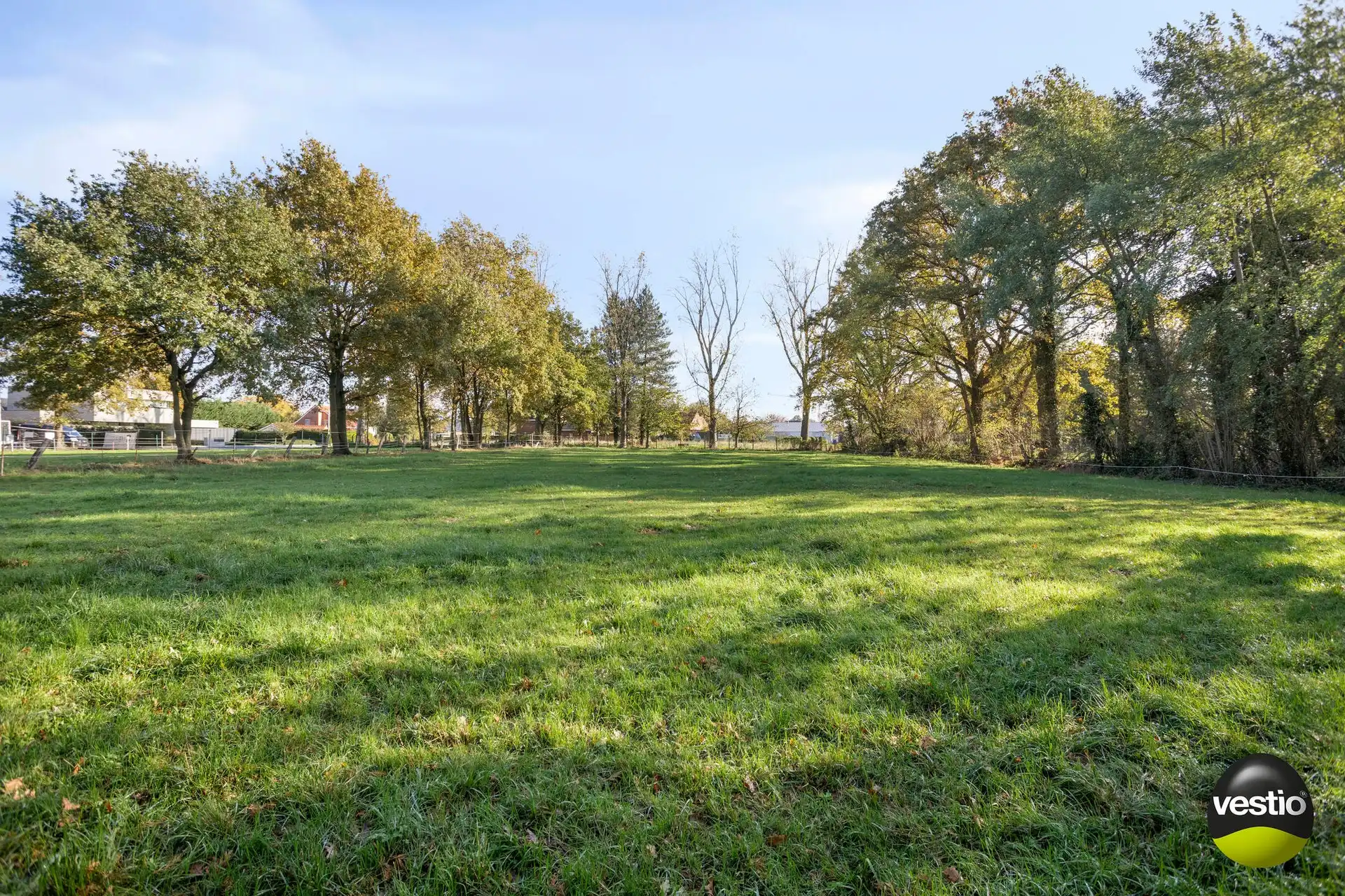Achterliggend weiland van 33a 31ca aan de Bunderweg te Zonhoven. foto 4