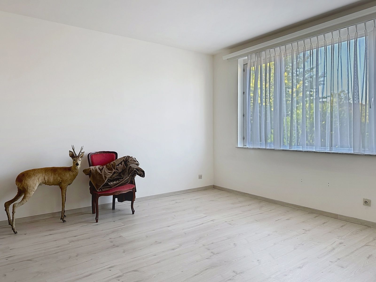 Gelijkvloers wonen met stadstuin op toplocatie foto 8