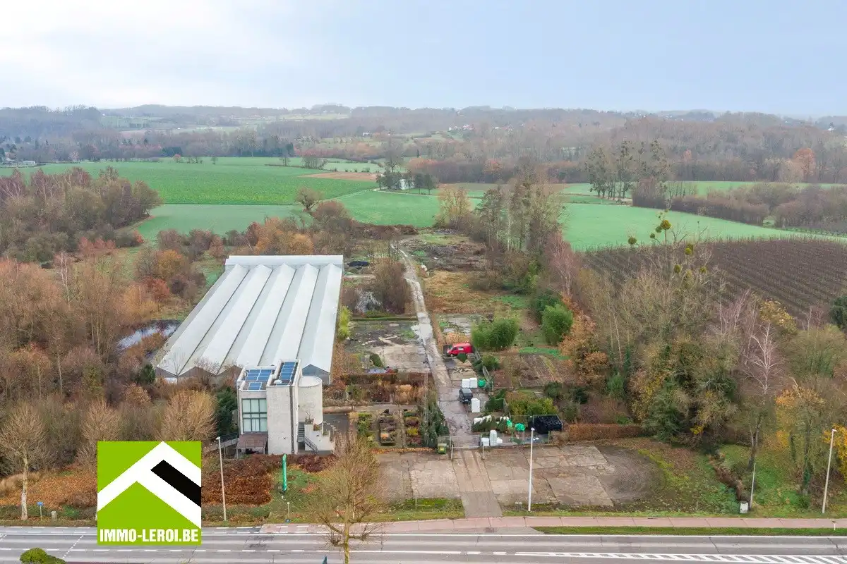 Tuinbouwcentrum met ruime woning op een perceel van 4,26 hectare foto 2