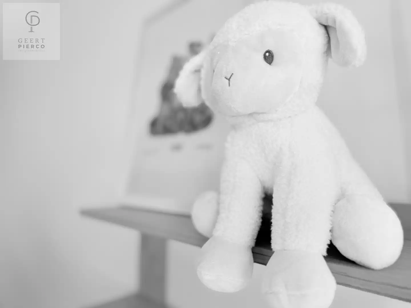 Gezellige gezinswoning foto 25