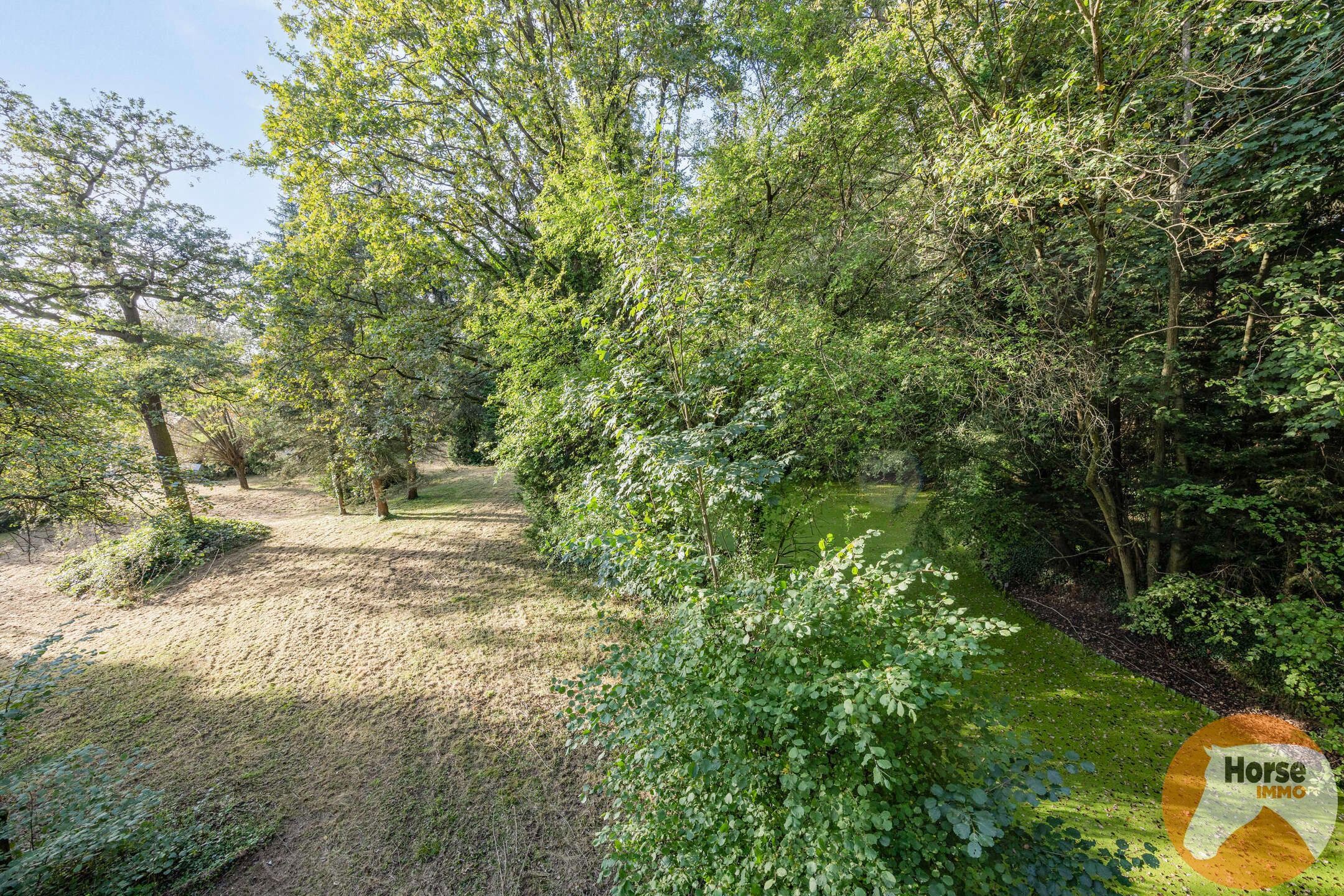 VELTEM-BEISEM - Woning met weilanden en eigen bos op 3ha32 foto 19