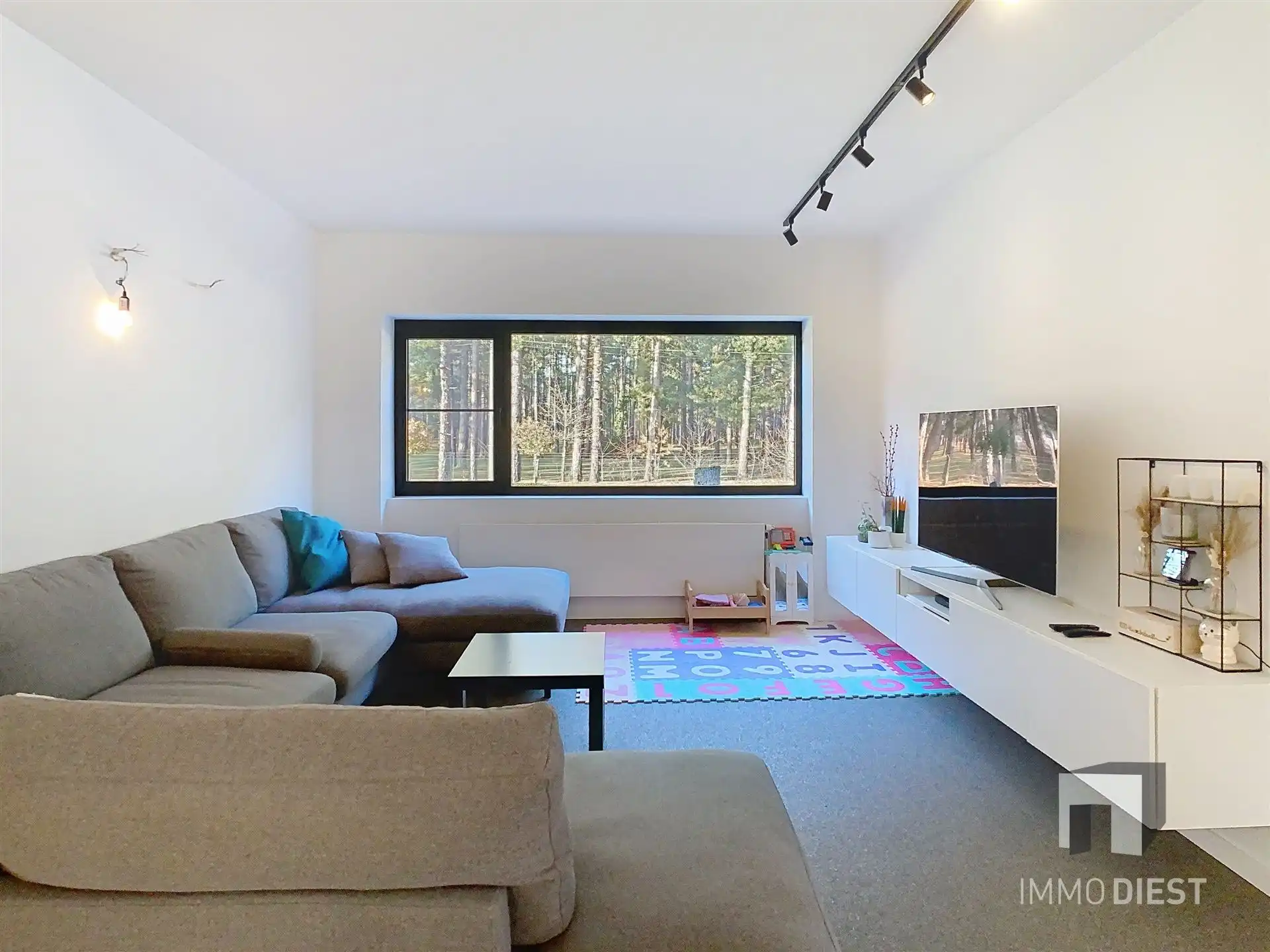 Instapklare woning op 9a 20ca nabij de bossen van Averbode; wonen met ruimte, rust en kansen. foto 4