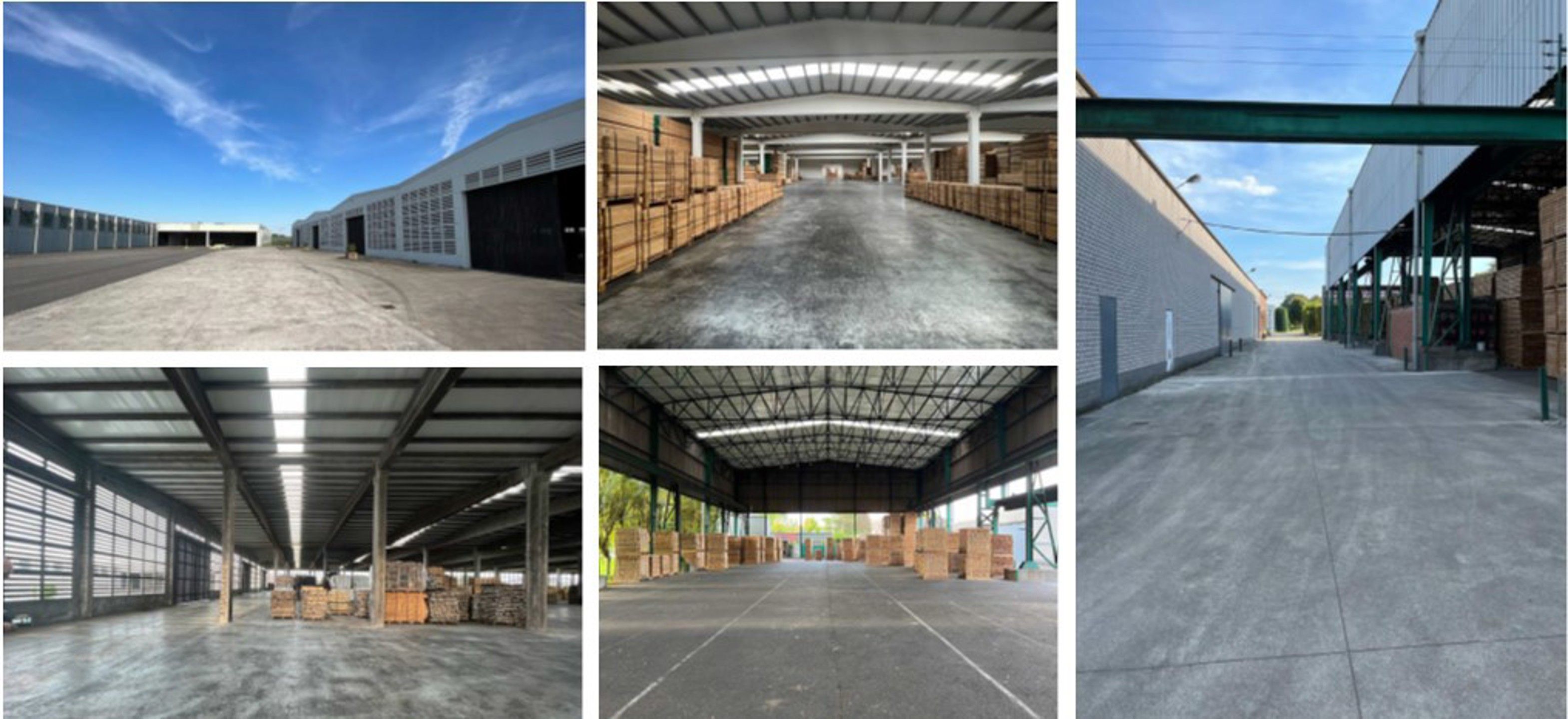  Nieuwbouw magazijn F.3  :  229,55 m²  op voormalige Martal-site in Sint-Katelijne-Waver. foto 8