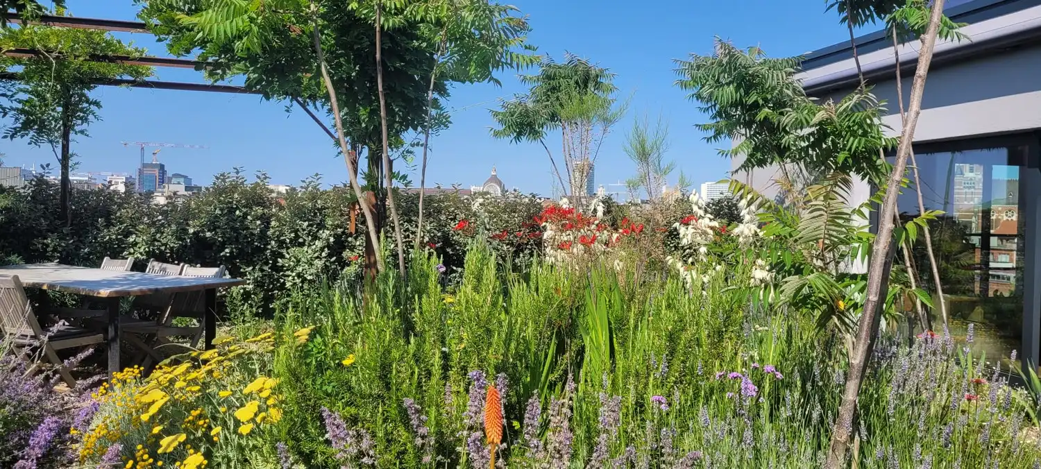 Een woning in de lucht: 'Uitzonderlijke loft 200m² + aangelegde daktuin, terras en 2 optionele garages in rustig, groen woonerf op de grens Borgerhout/Antwerpen' foto {{pictureIndex}}