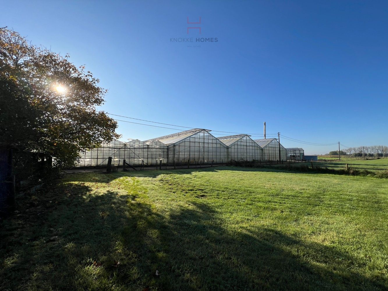 Ca.5.000 m2 serres met loods - bestemd voor agrarische doeleinden. foto {{pictureIndex}}