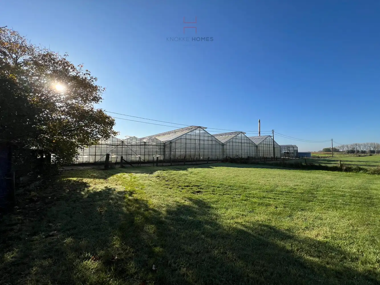 Ca.5.000 m2 serres met loods - bestemd voor agrarische doeleinden. foto {{pictureIndex}}