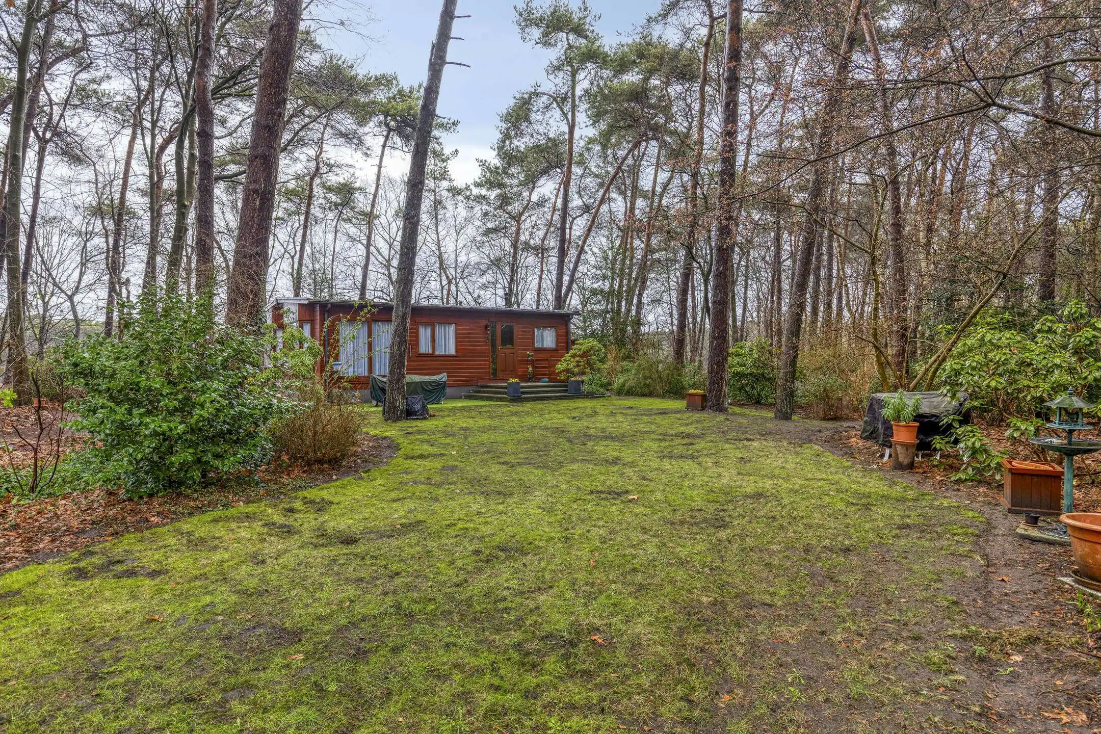 Verzorgde woning op prachtige bosgrond te koop in Wuustwezel foto 4