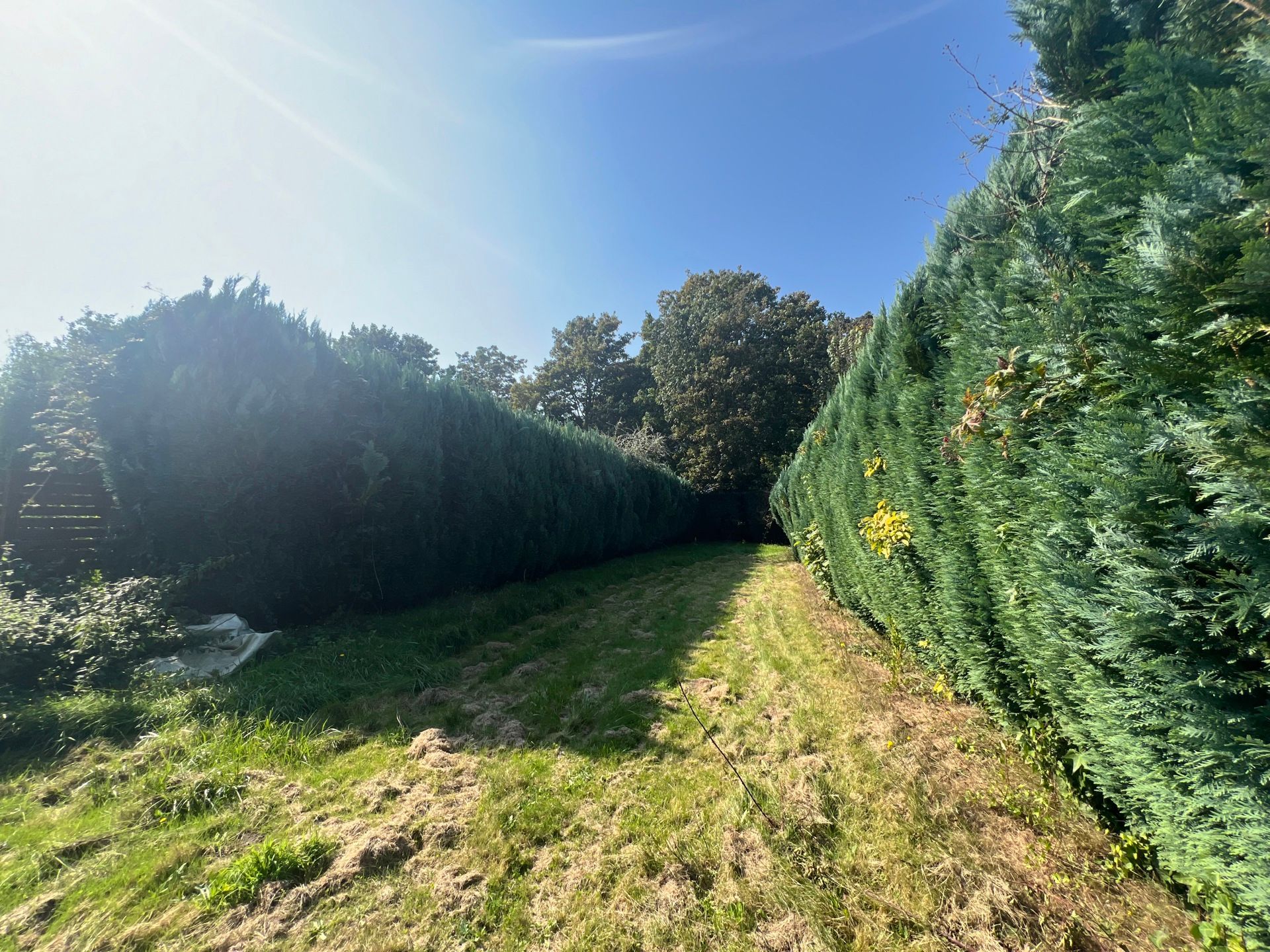 Zeer ruime en praktische driegevelwoning centraal gelegen foto 20