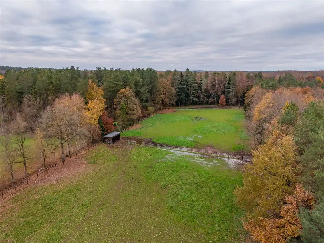 Toffe woning met weiland van meer dan 1Ha foto 24