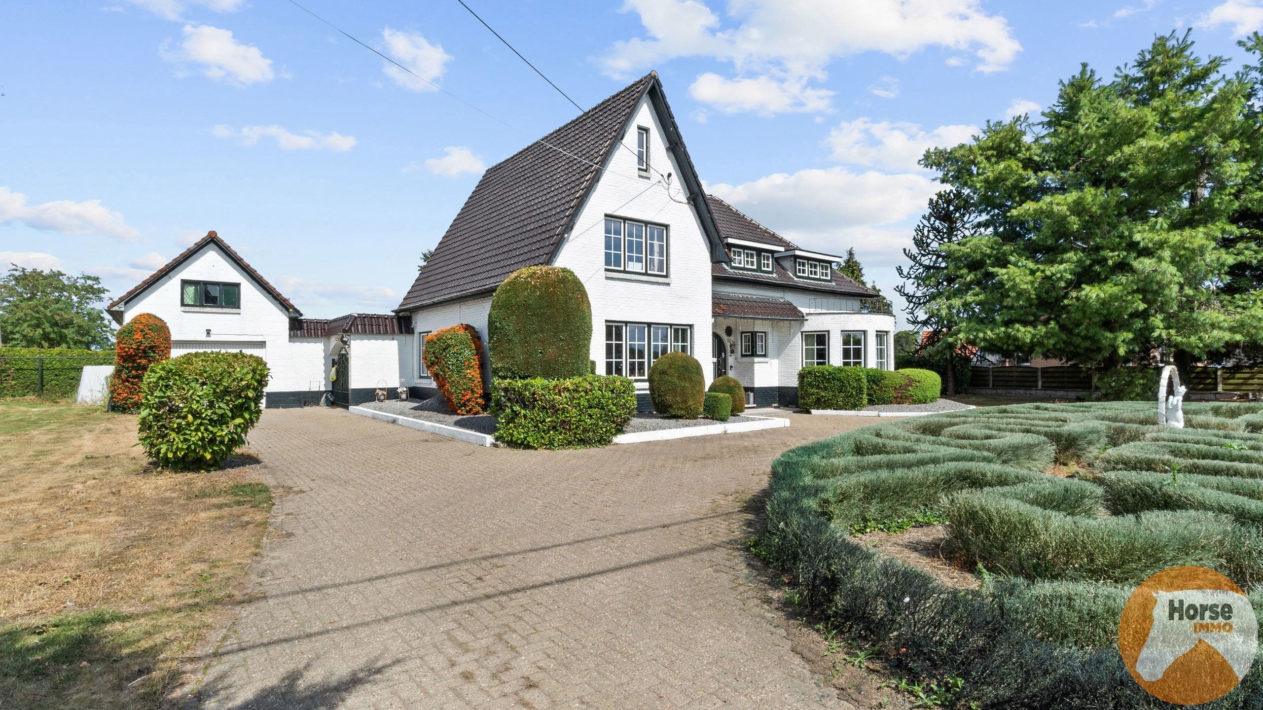 NEEROETEREN - Woning met accommodatie voor (semi)professioneel foto 12