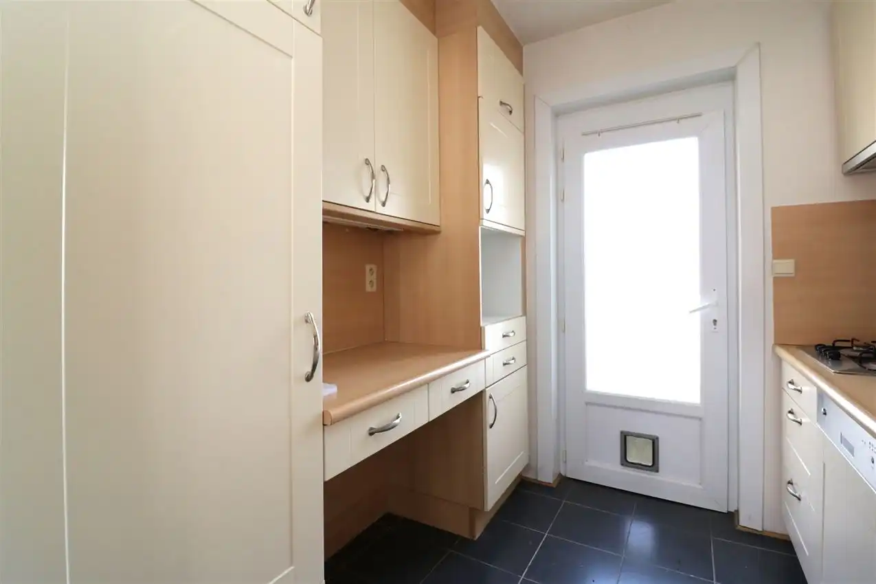 charmant, ruim, mogelijkheid beroep of kangoeroe foto 39