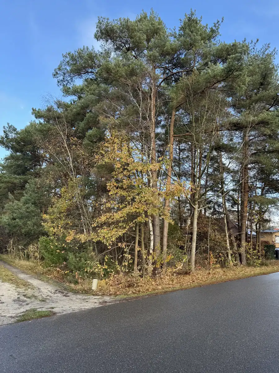 Ruime bouwgrond te koop in Balen-Wezel: ca. 3513 m² op rustige locatie foto 5