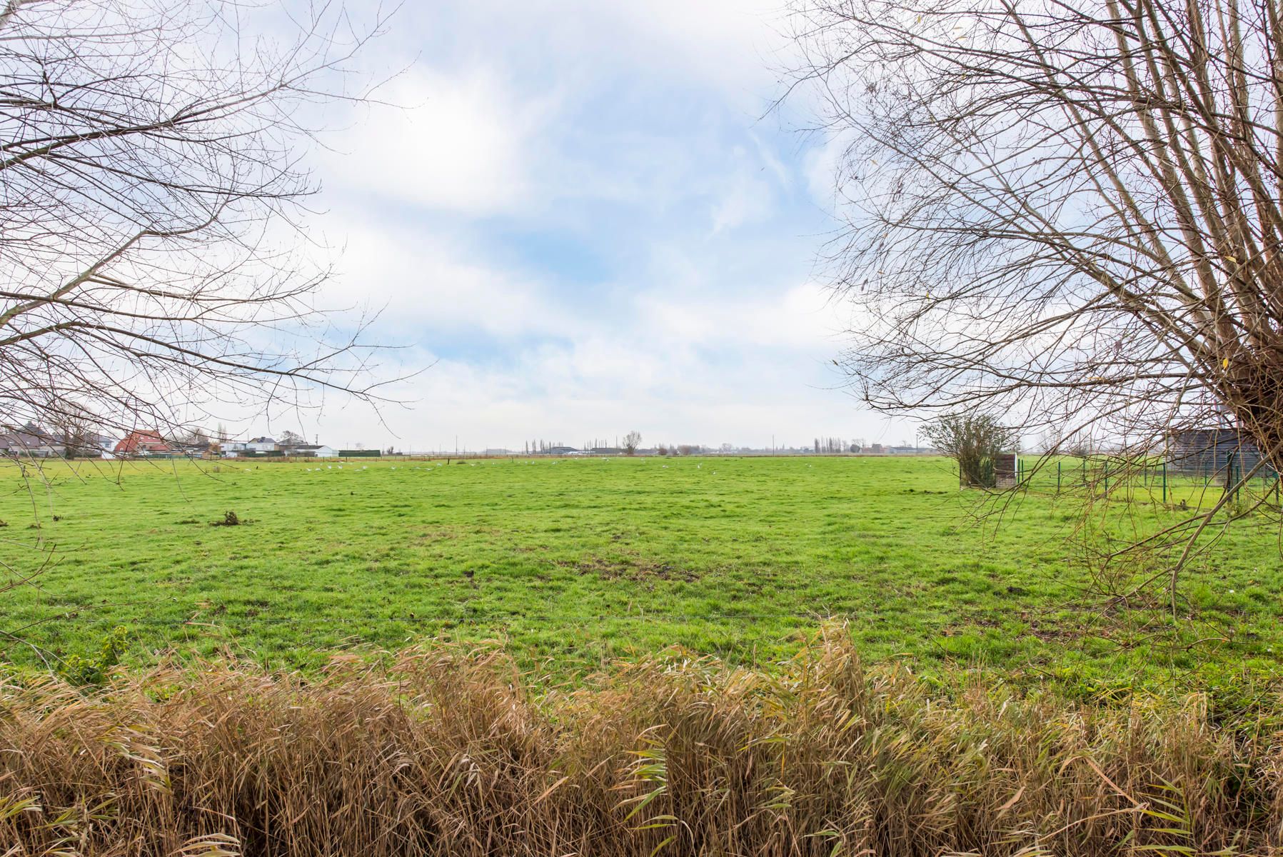 Charmante woning met uitzicht over polderlandschap foto 11