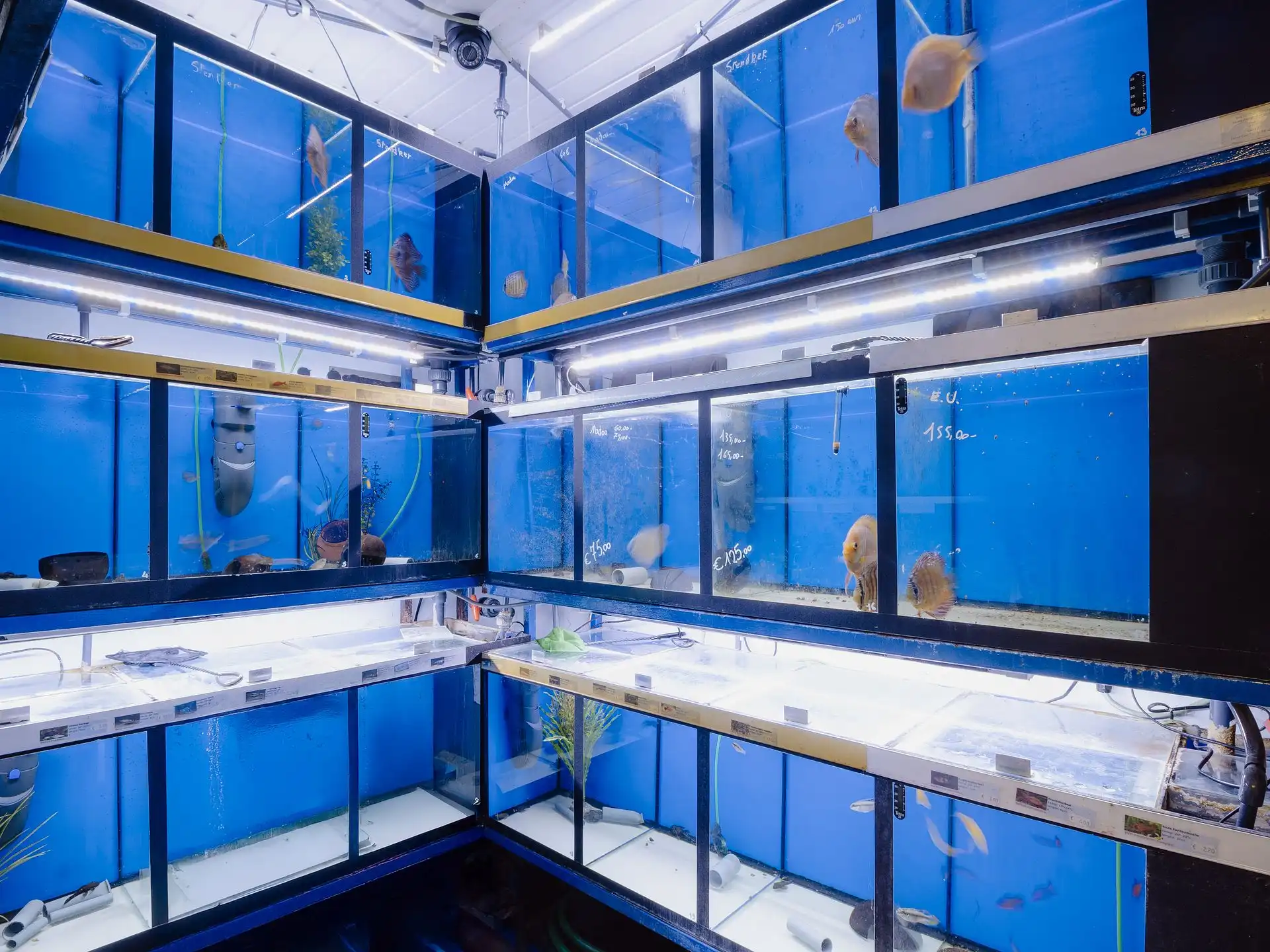 Volledig te renoveren bel-etage woning met terras foto 10