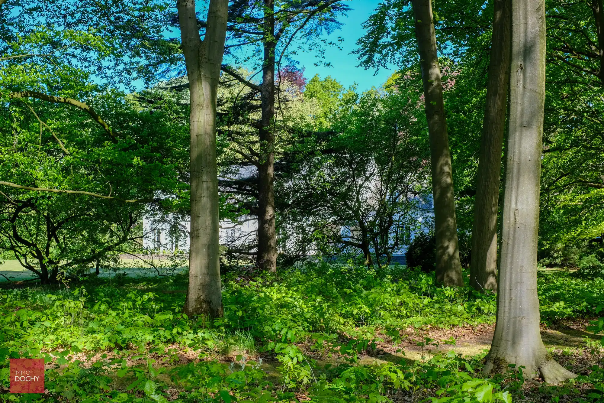 Uniek domein met ruime villa in prachtige parktuin op 2,7ha foto 6
