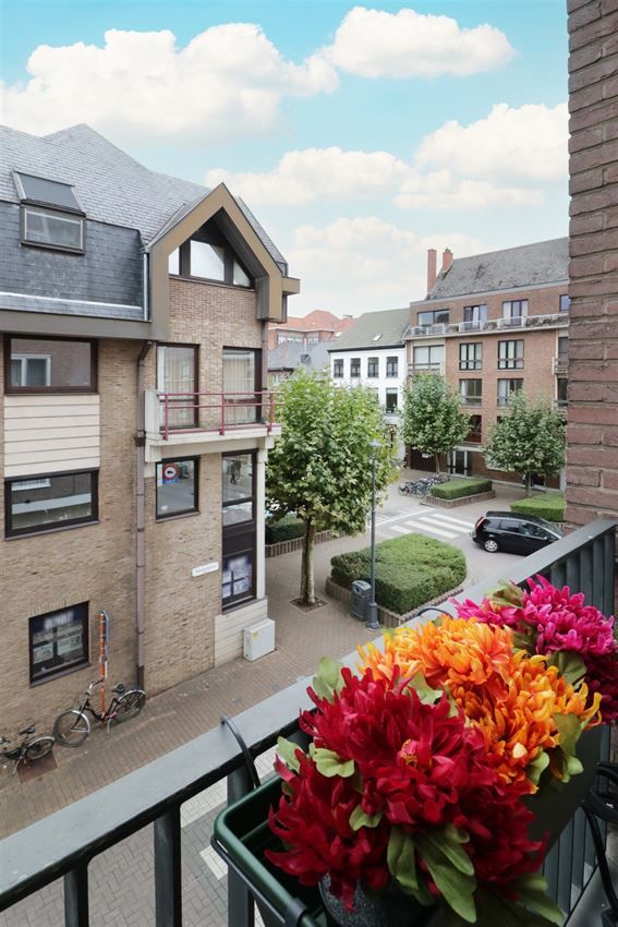 nabij warandepark, authentiek gebouw, label c foto 2